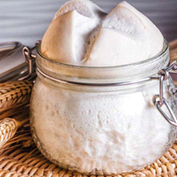 Semilavorato con lievito naturale in polvere per panificazione, per uso professionale. Dosaggio 4% sul peso della farina. Ottenuto a partire da germe di grano di prima qualità, dona all’impasto una piacevole fragranza nocciolata e un profumo intenso. Migliora la lavorabilità rendendo l’impasto più morbido. 