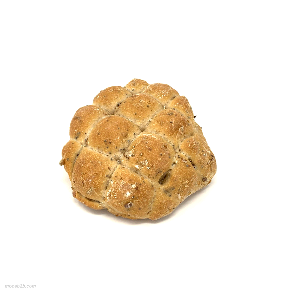 Panino tartaruga 65 gr. Dimensioni: 12x12x h4,5 cm. Grani di segale e farro mescolati con semi di papavero e lino; con lievito naturale. Precotto, 200°C x 10 min. 