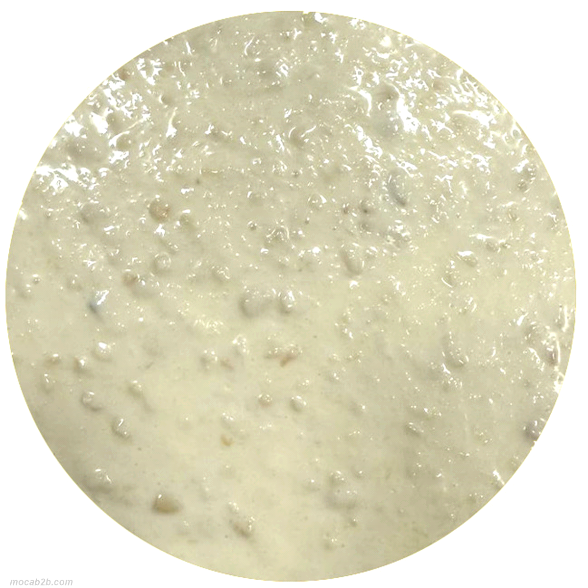Crema al cioccolato bianco dal gusto goloso, con cocco rapè e granella di mandorle tostate. 