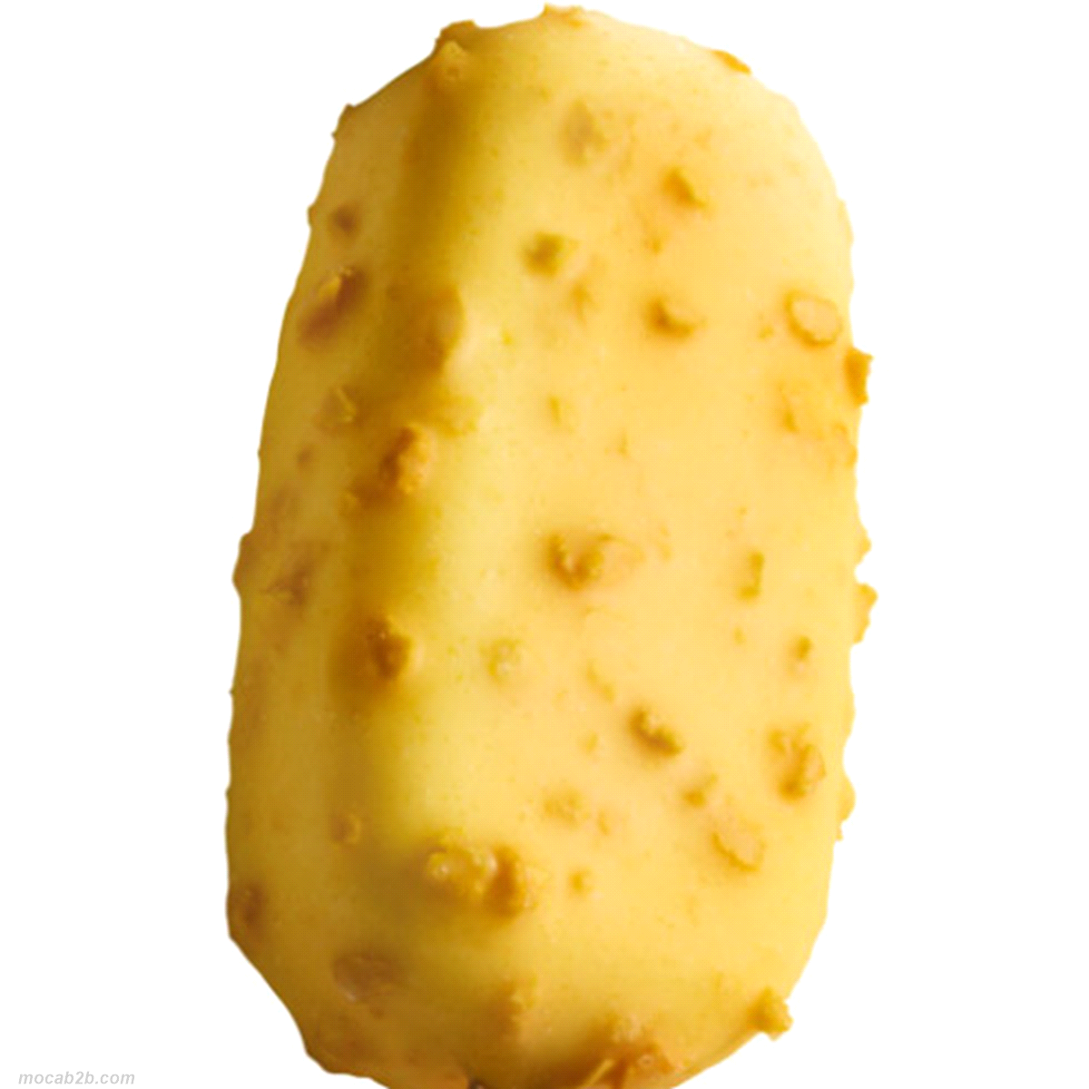 Copertura con granella di frutta liofilizzata e succo concentrato disidratato di mango. Ideale per lavorazioni in gelateria e pasticceria. Ottimo per stecchi gelati e biscotti. 