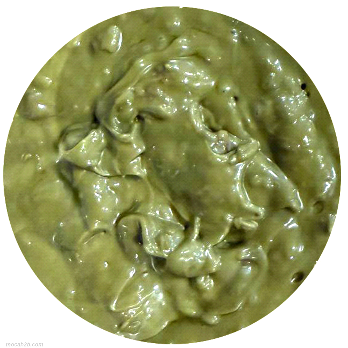 Variegato al pistacchio con l’aggiunta di biscotto finemente sbriciolato con burro 