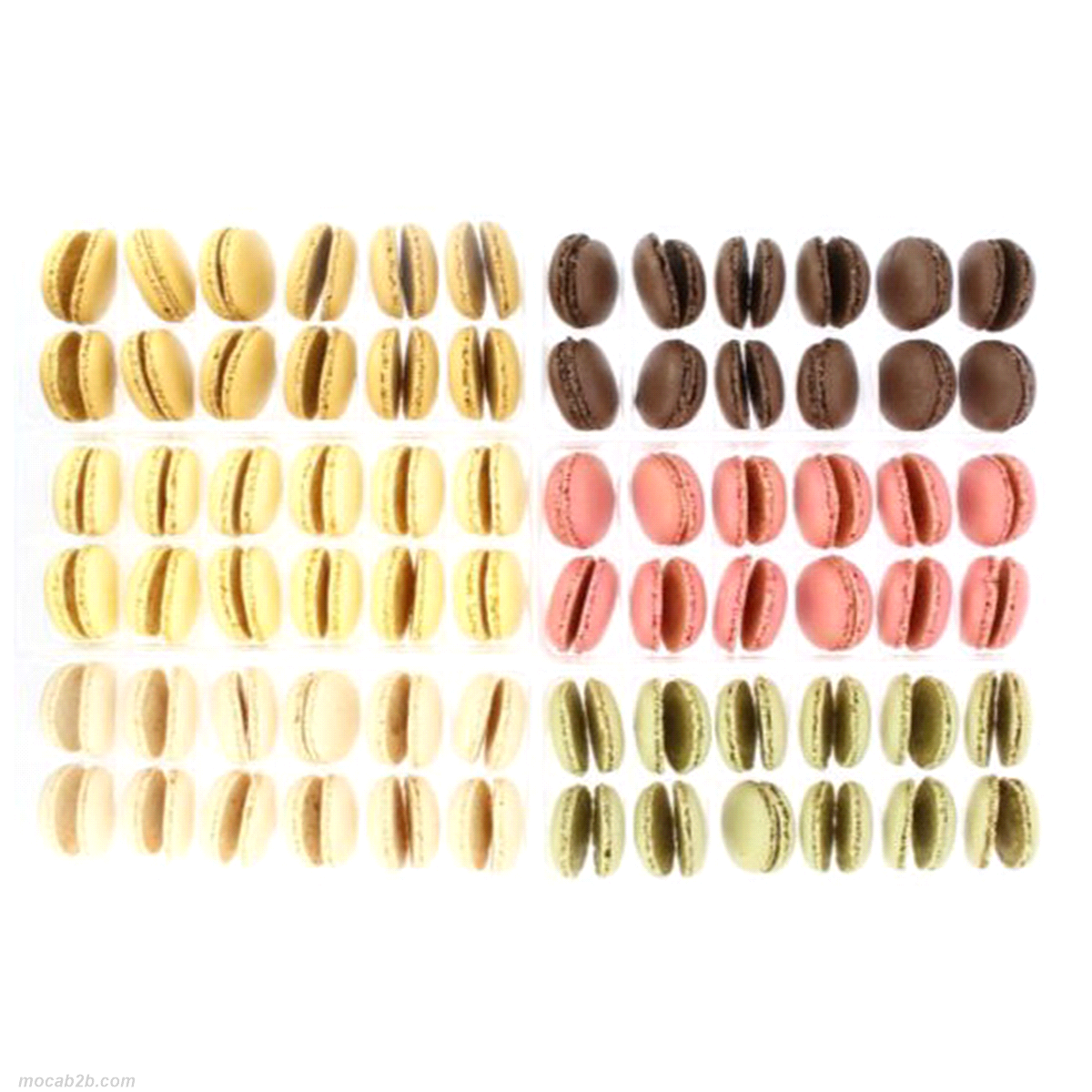 Gusci di macaron colorati congelati: vaniglia, giallo, rosa, verde, arancione e cacao. Peso: 3,6 gr. Dimensione 39mm. 