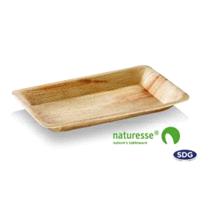 PIATTO RETT. BIO 16x24  x25pz(4) SDG 