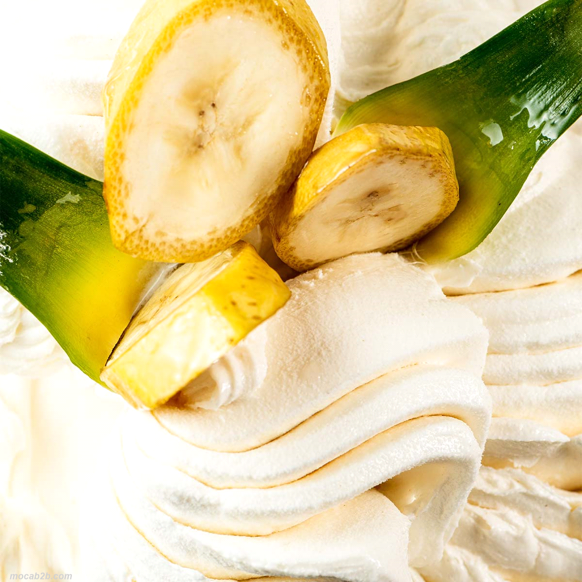 Prodotto FAST completo per ottenere un gelato, sorbetto o semifreddo alla banana. Ricetta per gelato: 1 busta + 2,5 litri di acqua. Sorbetto: 1 busta + 3 litri di acqua. A freddo 