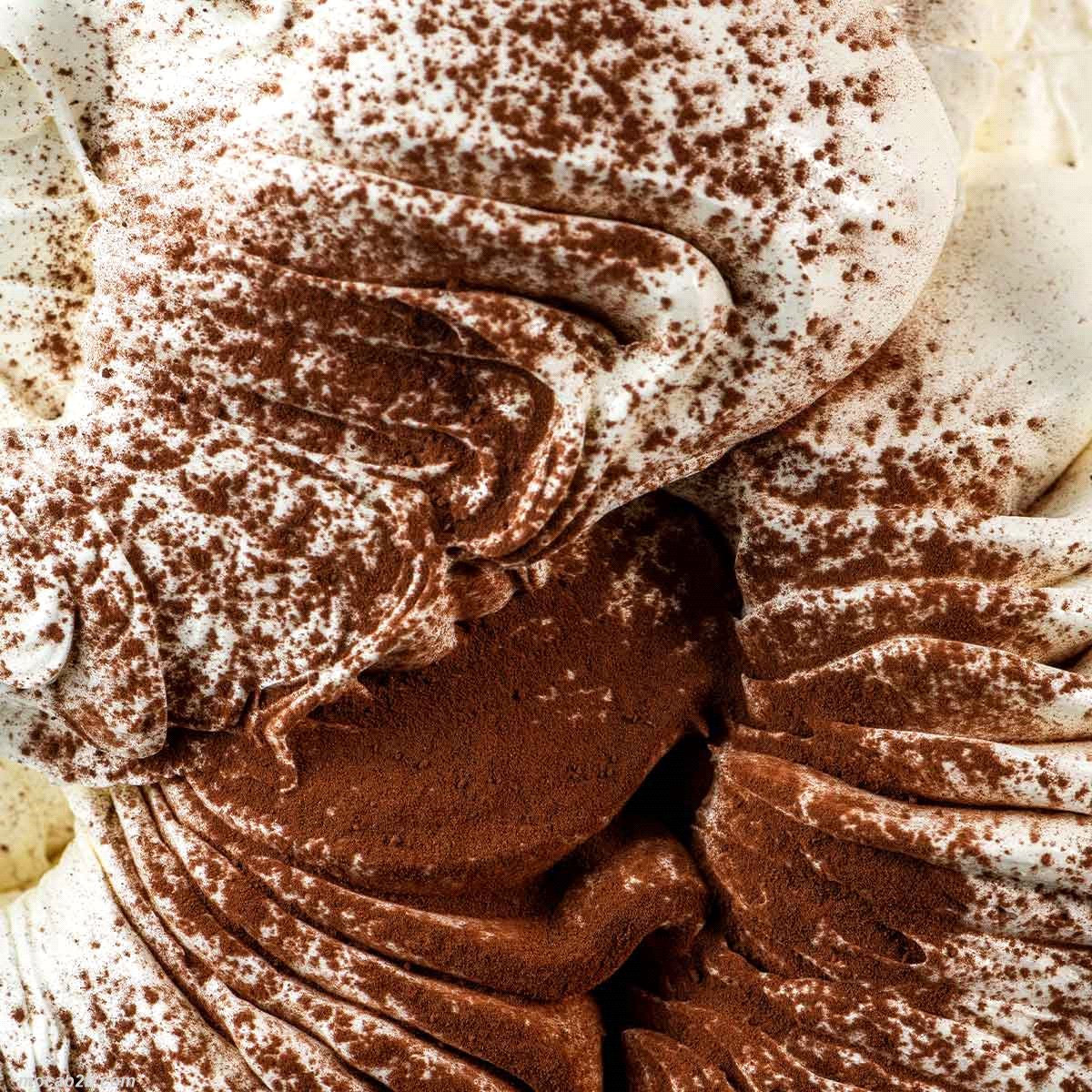 Preparato in polvere al tiramisù per aromatizzare la base gelato o semifreddo. Ricetta: 30/40 gr di prodotto per litro di miscela, utilizzo a freddo. 