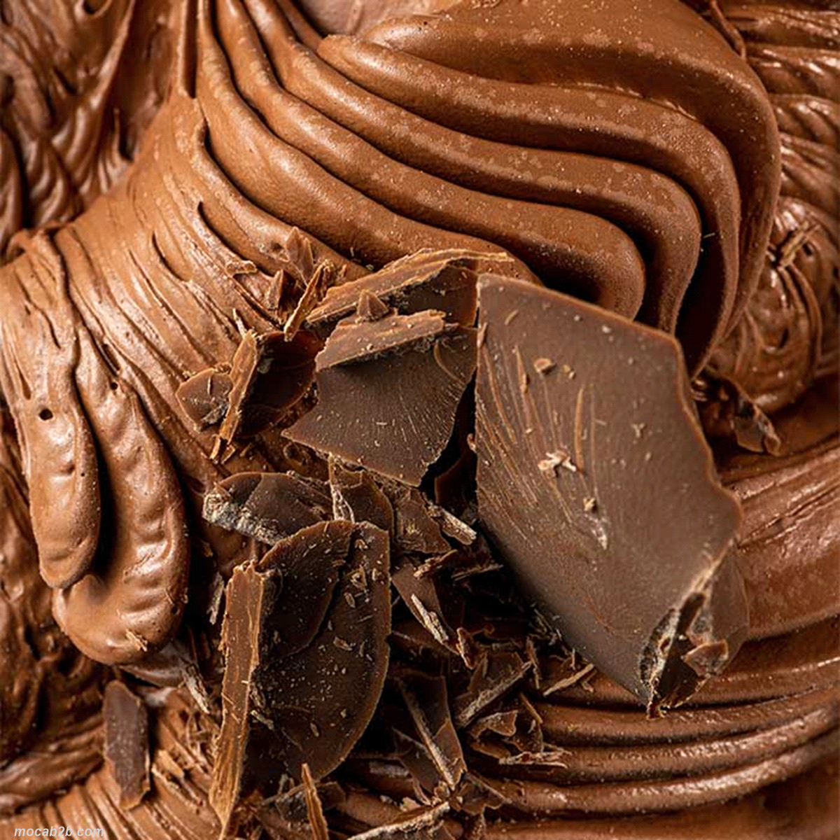 Prodotto FAST completo, basta aggiungere solo acqua per ottenere un gelato al cioccolato al latte. RICETTA: 400 gr di prodotto + 600gr di acqua molto calda. Anche per semifreddi 