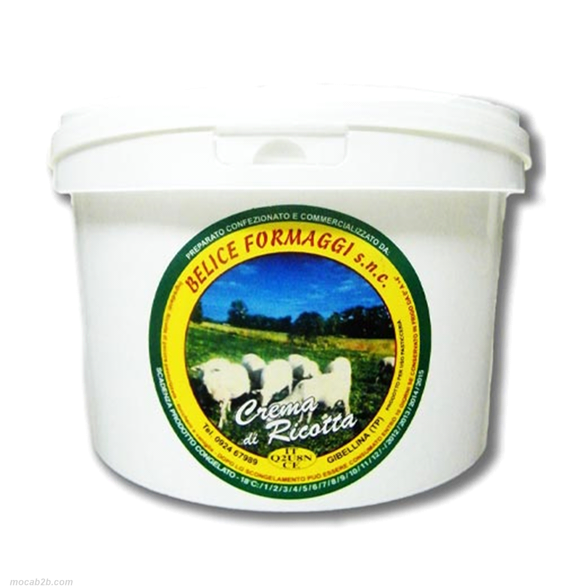 RICOTTA DI PECORA SICILIANA x4Kg  DO 