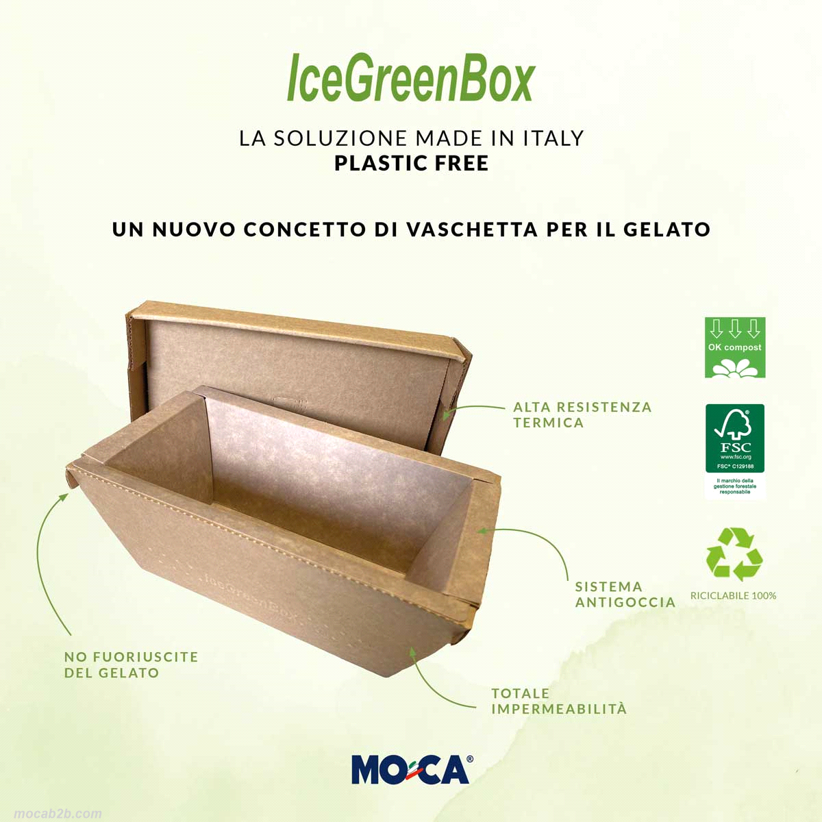 ICEGREEN BOX AVANA 500cc (350gr) x40pz