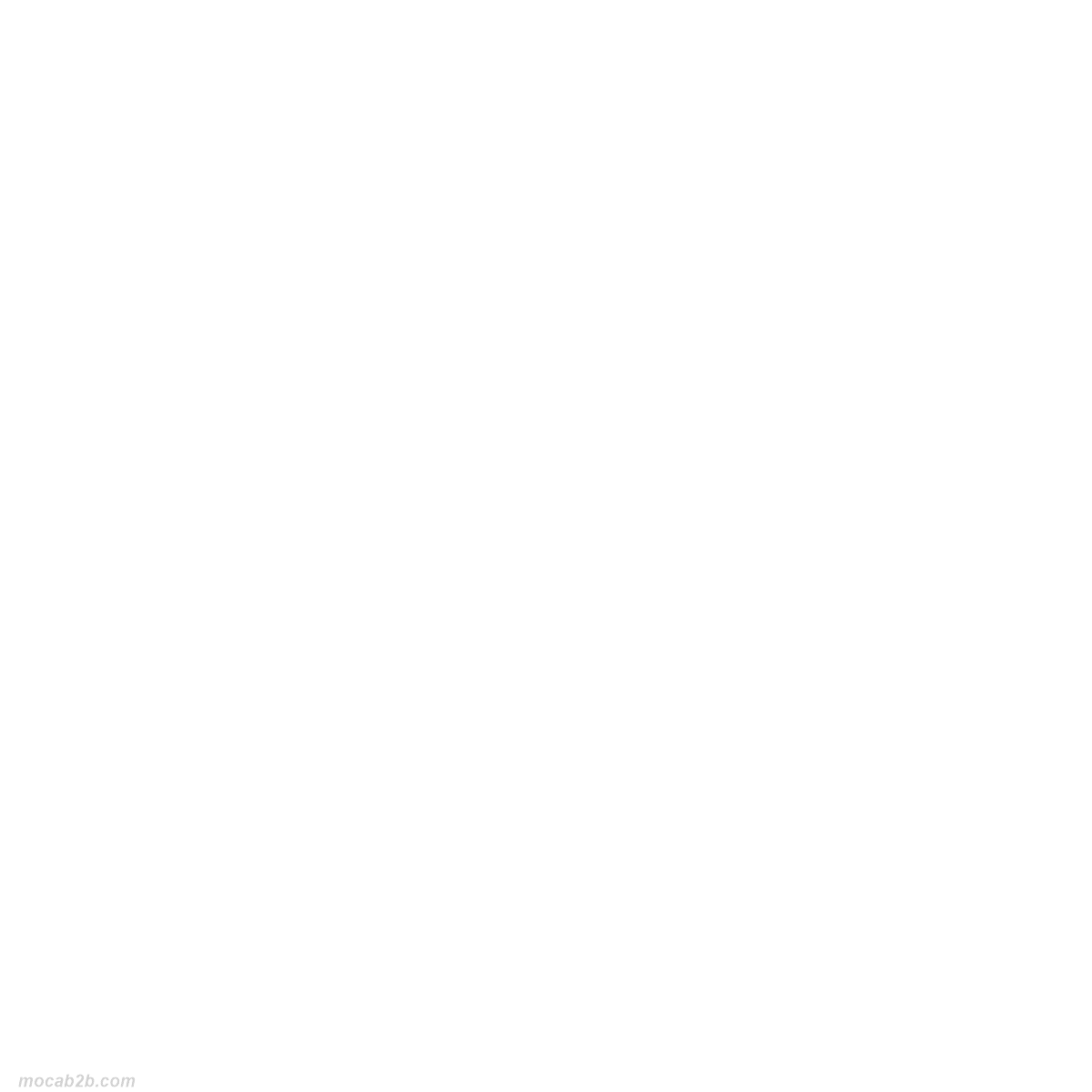 MOPLEFAN SACCHETTI 22x28(300gr)x100p