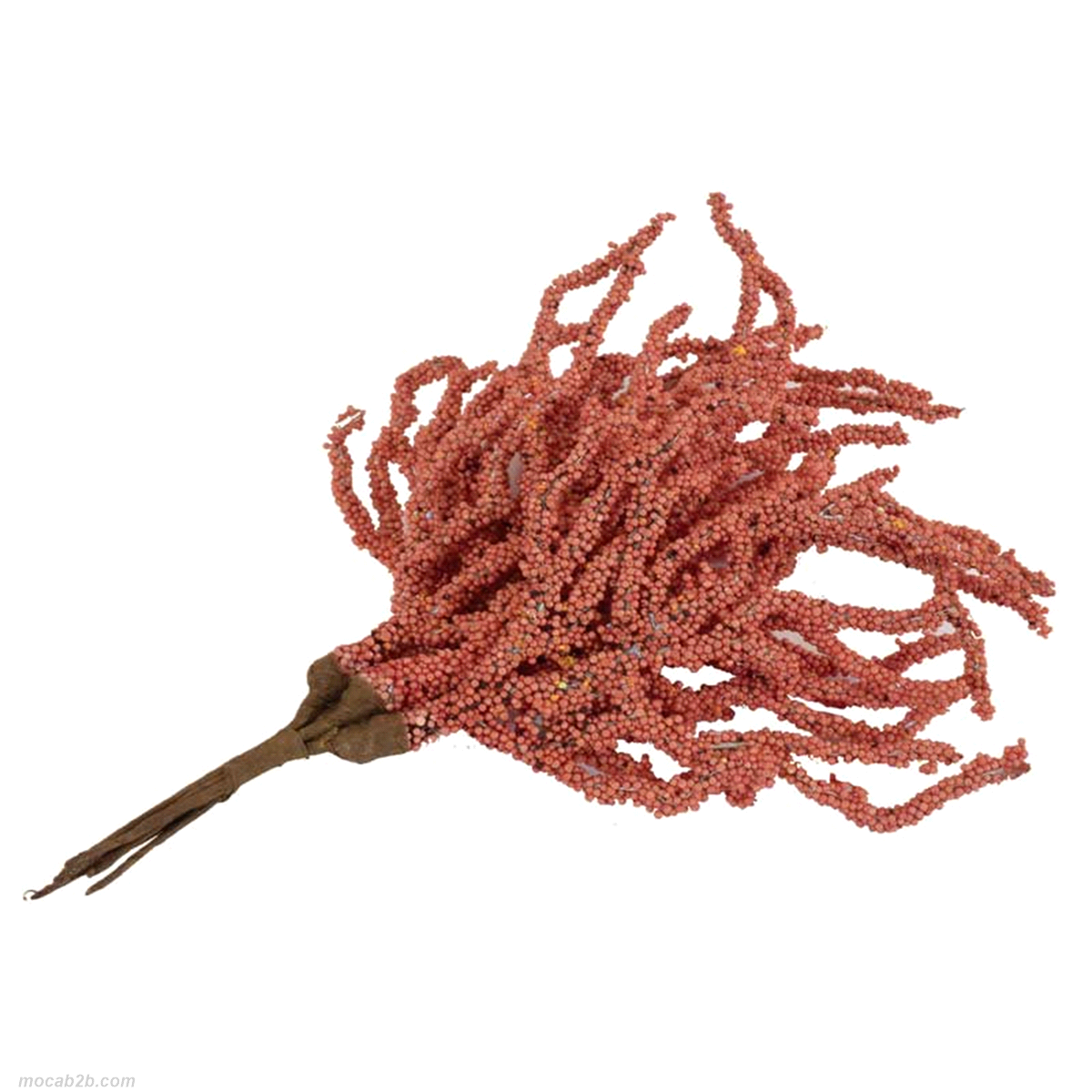 CORALLO ARANCIO PICK x6 in mazzo/6pz