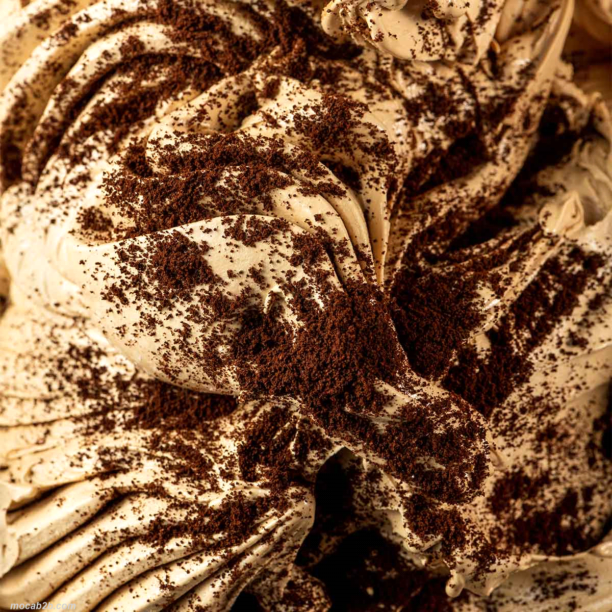CAFFE SOLUBILE x1Kg (8)      DELIZIA