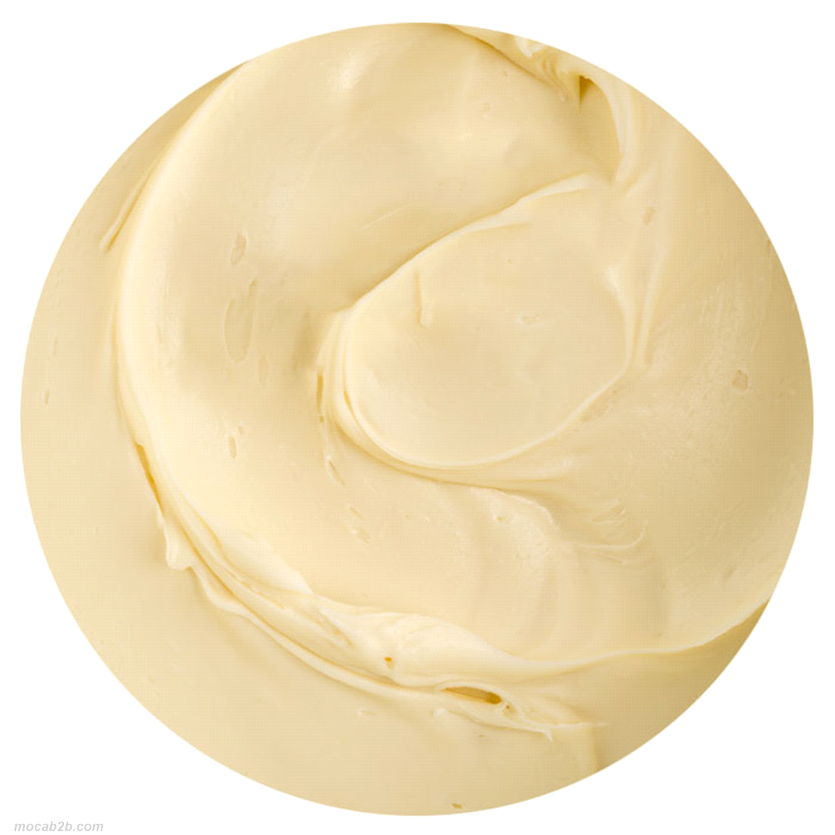 CREMA BIANCA FARCITURA x6Kg  DELIZIA