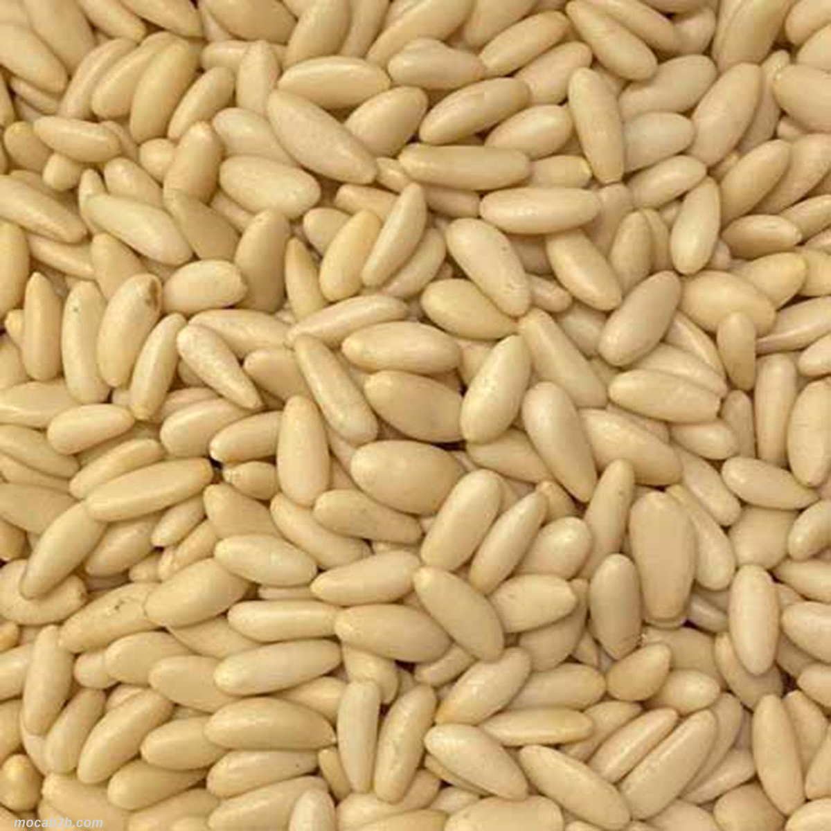 PINOLI EXPORT RC 20x1Kg          SRF