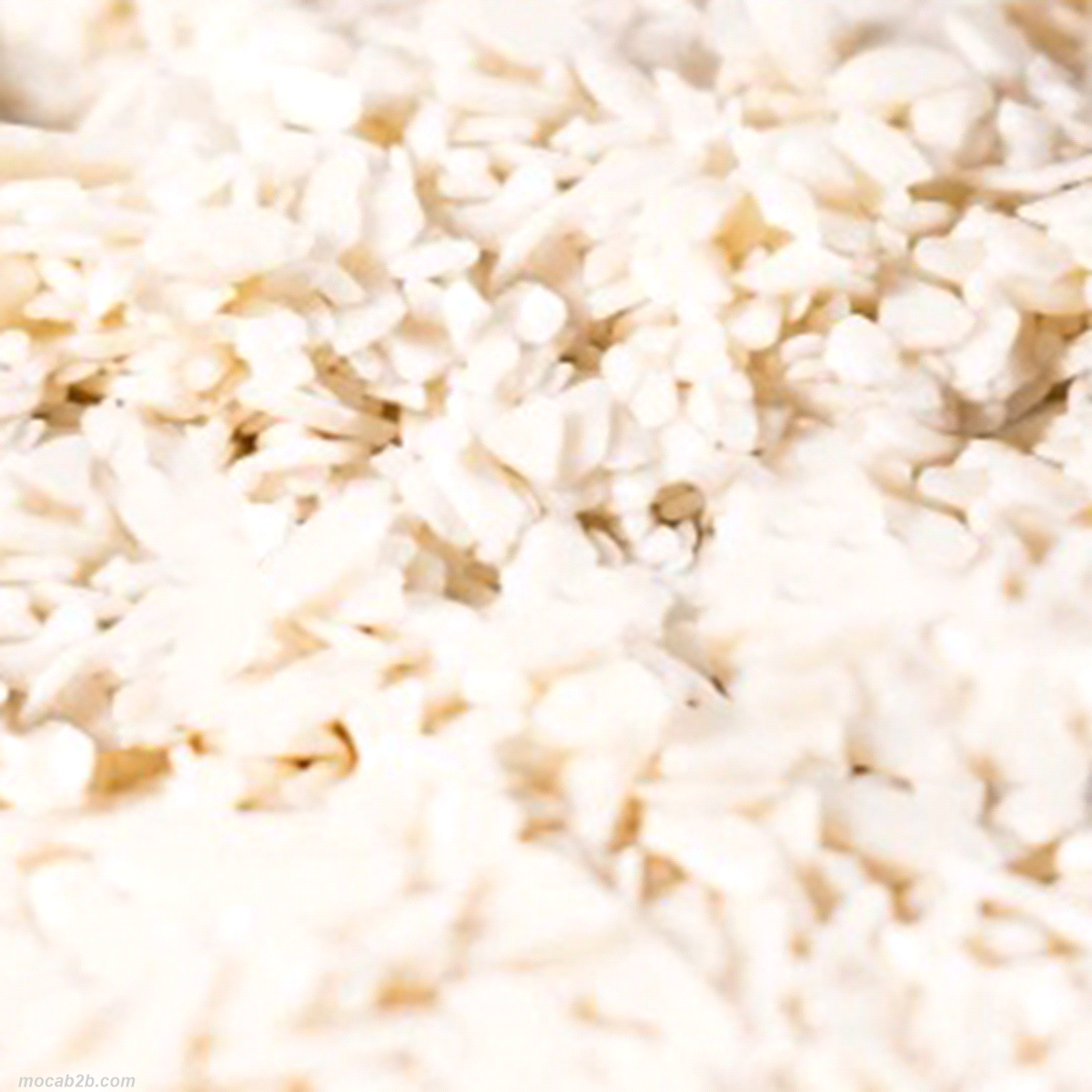 SCAGLIETTE SURROGATO AVORIO x1Kg DULCISTAR