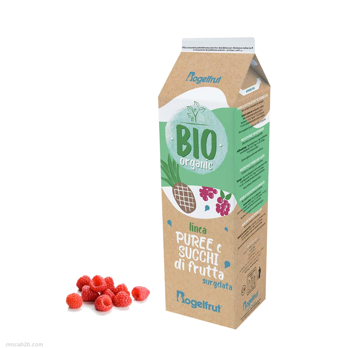 BIO LAMPONE PUREA x1Kg (6) ROGELFRUT