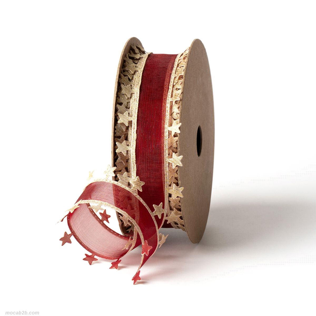 BERN BORDEAUX mm30x10mt