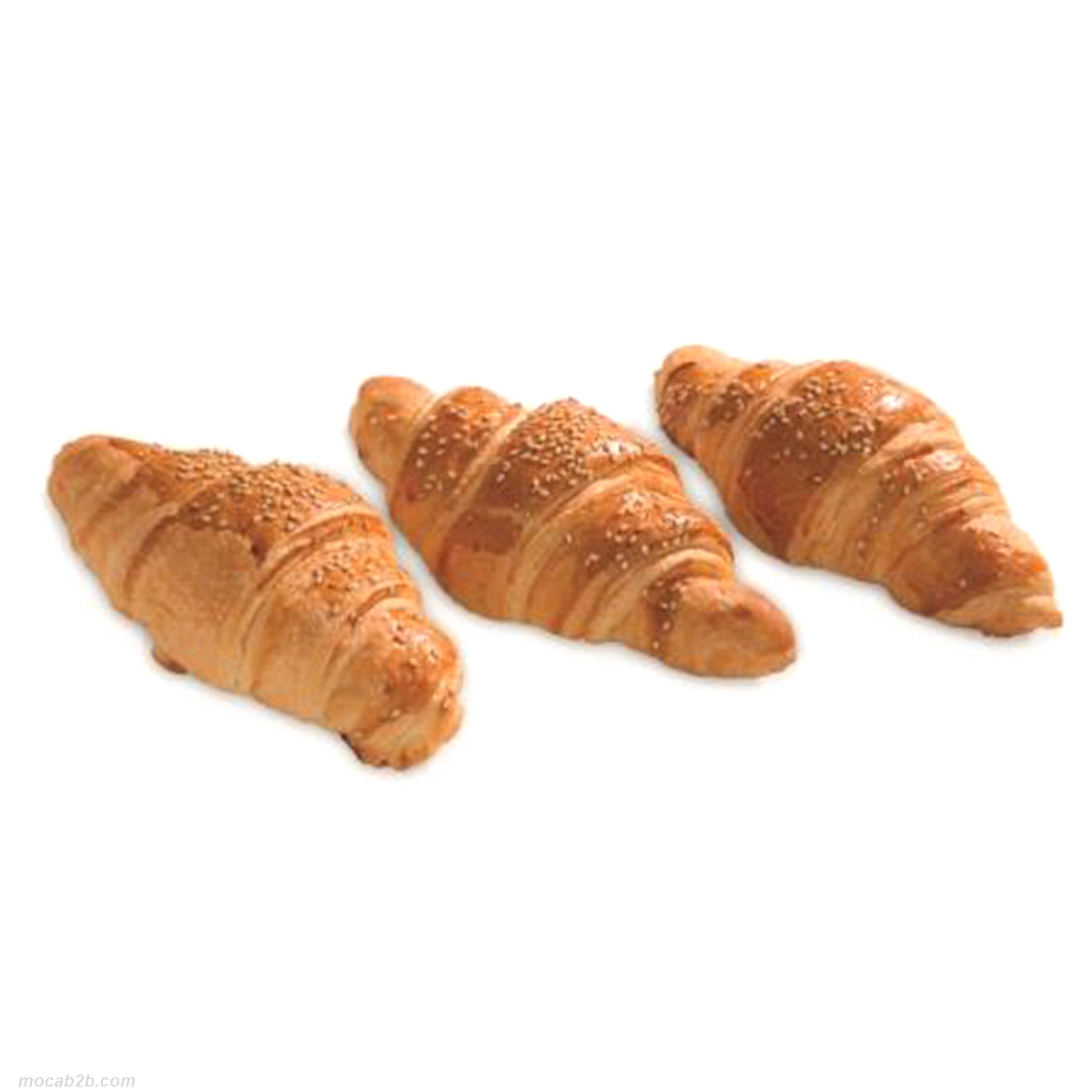 BIMIX CROISSANT SALATO x25 Kg AB MAURI