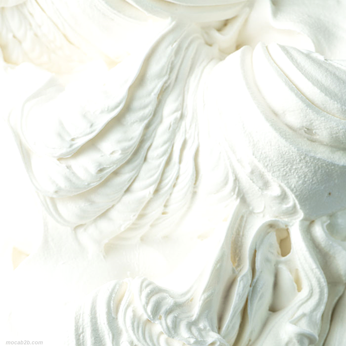 RICOTTA x1,5Kg (6)           DELIZIA