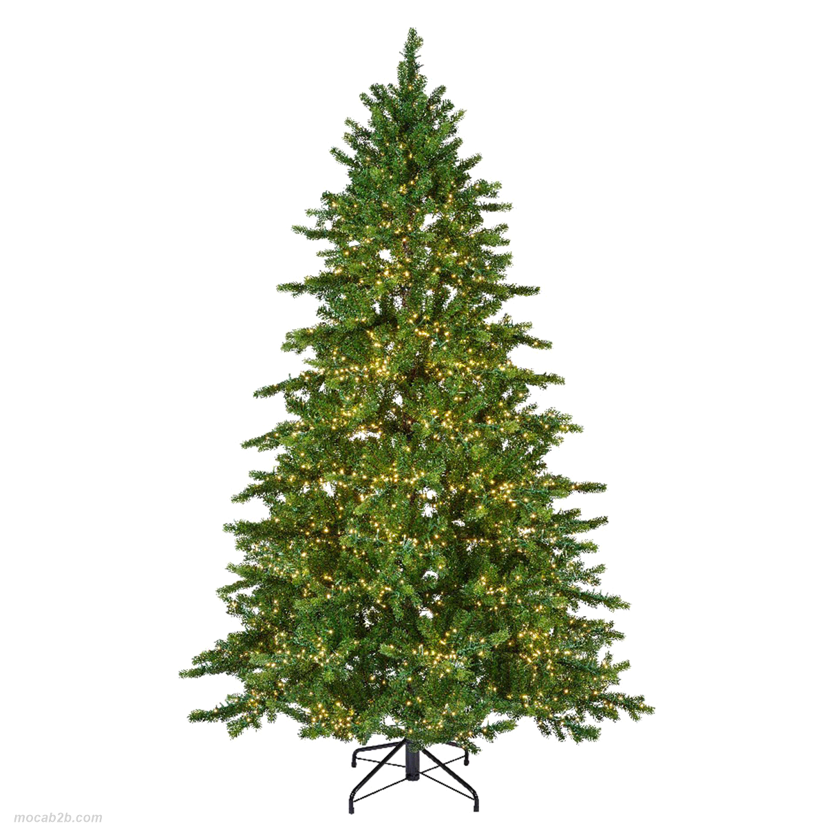 ABETE DI GALLOWAY C/LED DA INTERNO h.210