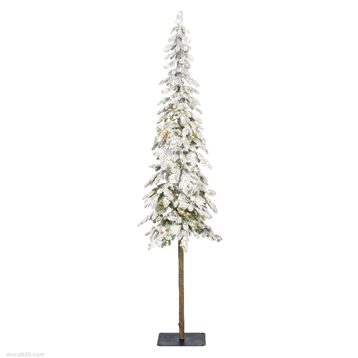 ABETE ALPINO INNEVATO DA INT. 180cm