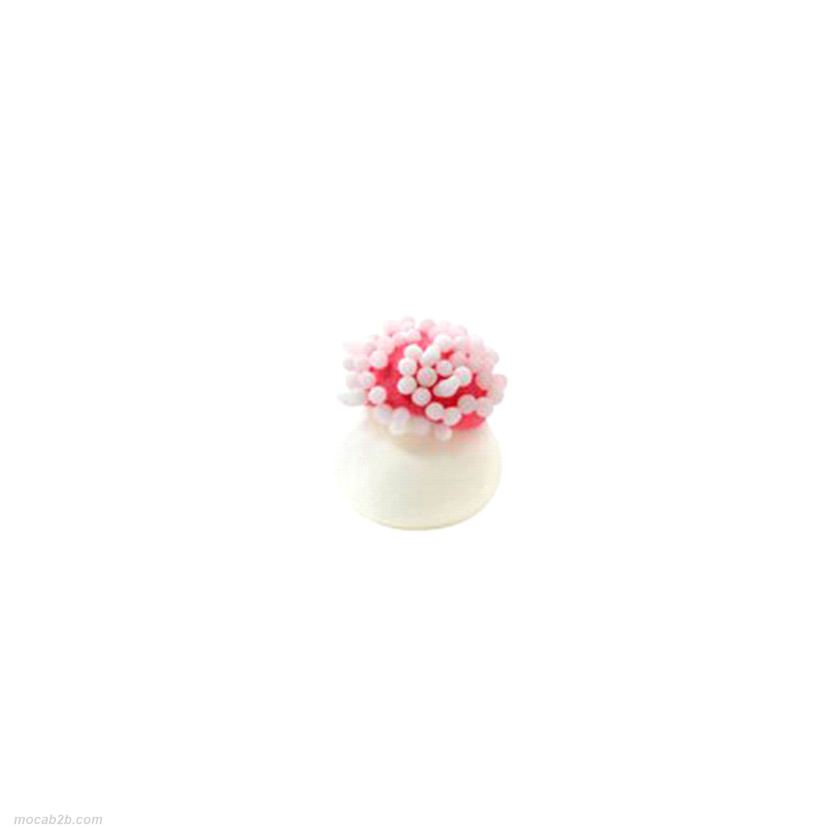 FUNGHETTINO ROSSO/BIANCO ZUCCHERO x384pz  MODECOR