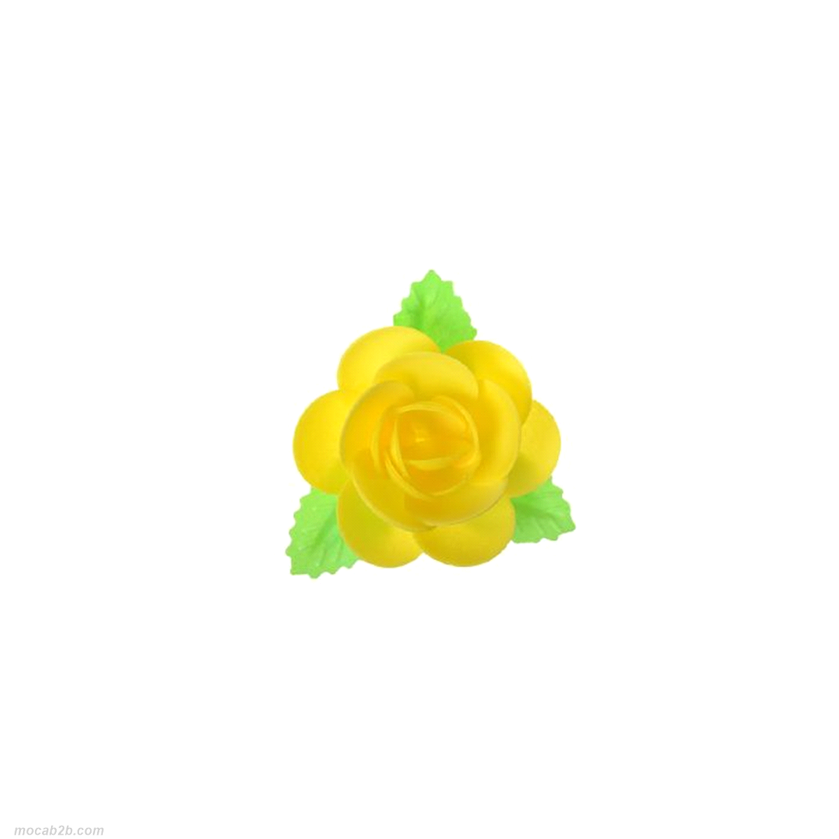 MAGNOLIA CON FOGLIE GIALLO CIALD Ad9x40 MODECOR