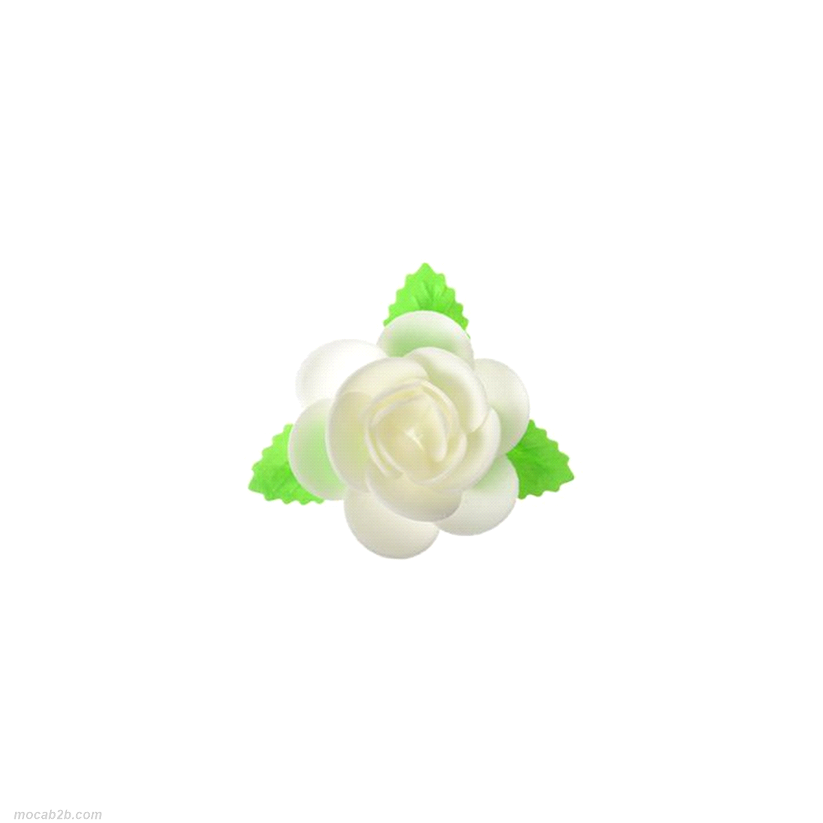 MAGNOLIA BIANCA CIALDA CON FOGLIE x40pz MODECOR
