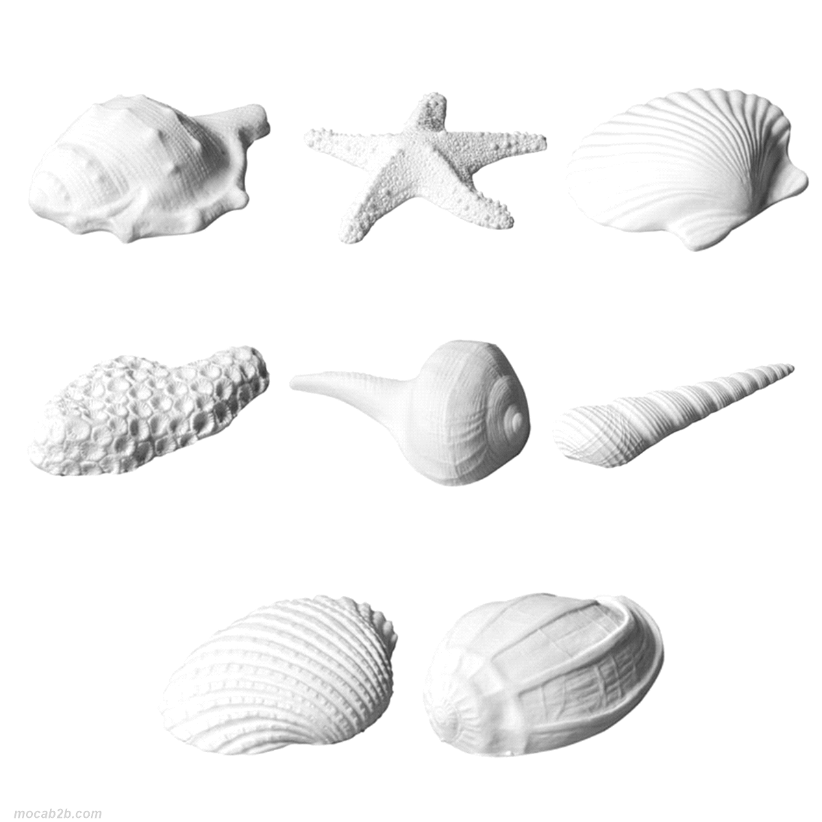 KIT CONCHIGLIE ASSORTITE DEC.x8pz MODECOR