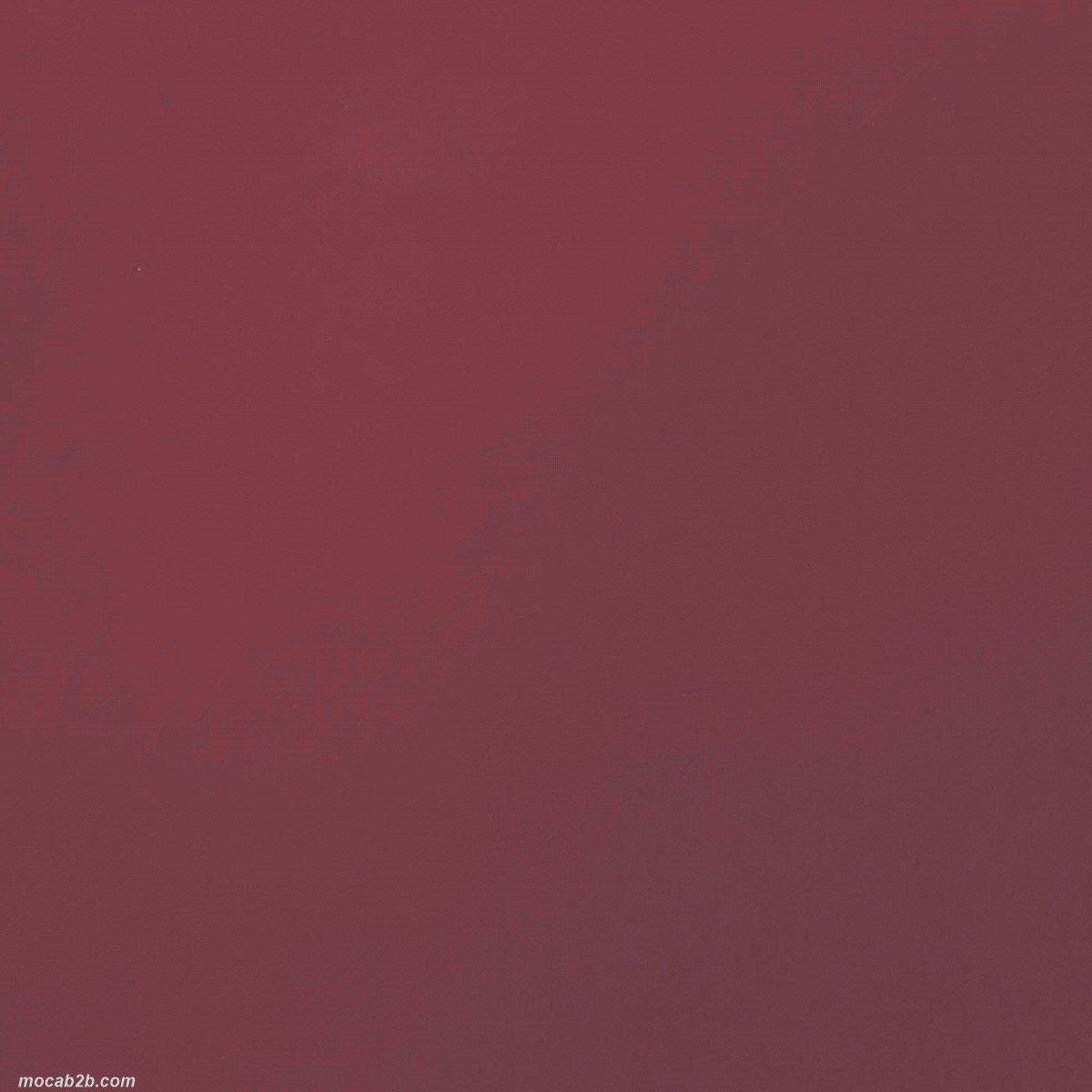BOBINA ELEGANCE ELITE BORDEAUX1x25mt