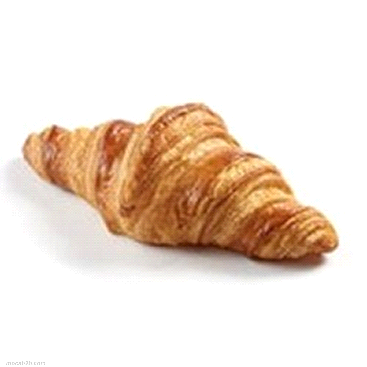 75871 CROISSANT  LES TENDRES D.O.P DL 65g x160pz RMM
