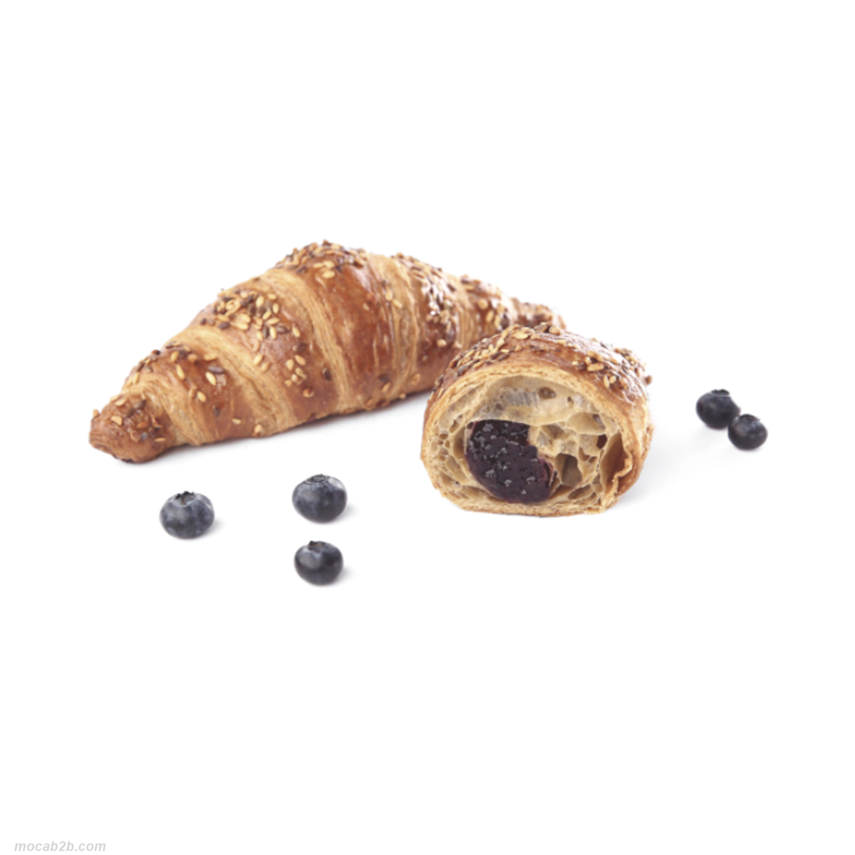 CROISSANT VEGANO AL MIRTILLO 100gr x48pz