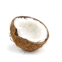 Pasta di cocco con scaglie di cocco. Prodotto per pasticceria e gelateria. Dosaggio: 80-100 g/l miscela. 