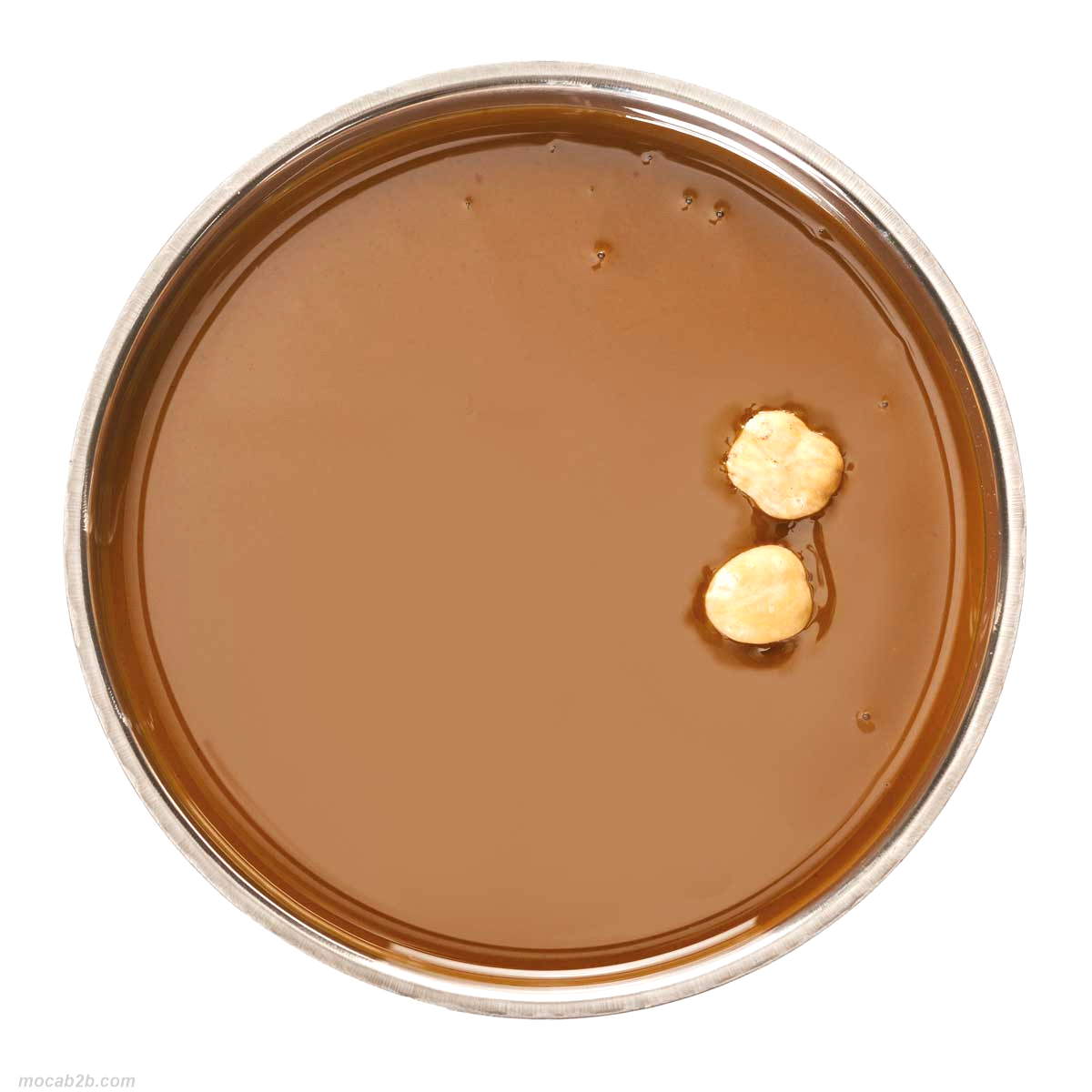 Pasta pura caratterizzante, frutto di una ricerca delle migliori nocciole dell’ultimo raccolto. Prodotti per gelateria, pasticceria e cioccolateria. 80-120 g/l miscela. 
