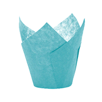 Realizzati con carta azzurra resistente ai grassi ed alla cottura. Dimensioni: d.5 x h.8 cm x180pz 