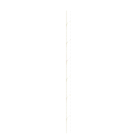 CANNUCCIA BIANCA  BIO @6 h16 x200pz 