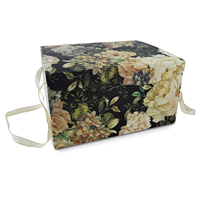 Bauletto portapanettone retro