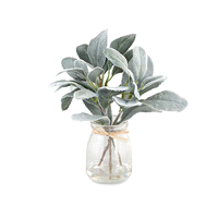VASETTO VETRO SALVIA h20 