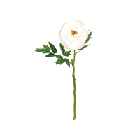 PEONIA BIANCA 45cm (144) 