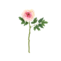 PEONIA ROSA SCURO 45cm (144) 