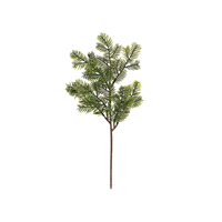 PINO VERDE RAMEO h.35 (288) 