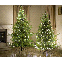 ABETE ST.MORITZ 5734 1000LUCI h.300 