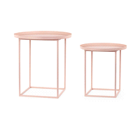 Descrizione articolo in fatturazione: TAVOLNI MET. ROSA @40h41/@50h50x2pz  ... 