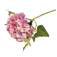 Descrizione articolo in fatturazione: HORTENSIA ROSA RAMO 44cm (24)  ... 