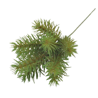 ABETE VERDE PICK  25cm x12pz 