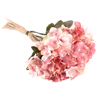 Descrizione articolo in fatturazione: ORTENSIA ROSA PICK 28,5cm  ... 