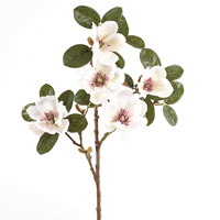 Descrizione articolo in fatturazione: MAGNOLIA BIANCO/ROSA RAMO 71cm (12)  ... 