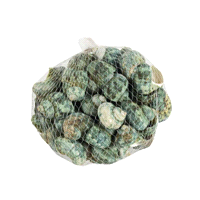 CONCHIGLIE NATURALI IN RETE x500gr 