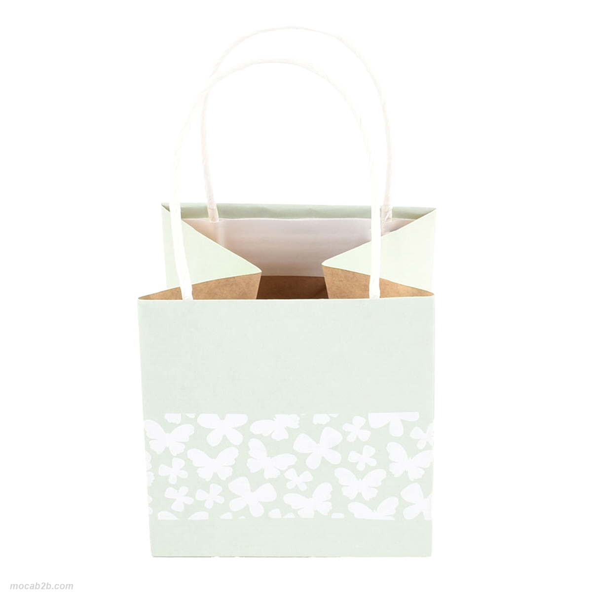 SACCHETTO CARTA MENTA 12x12x12 x6pz 