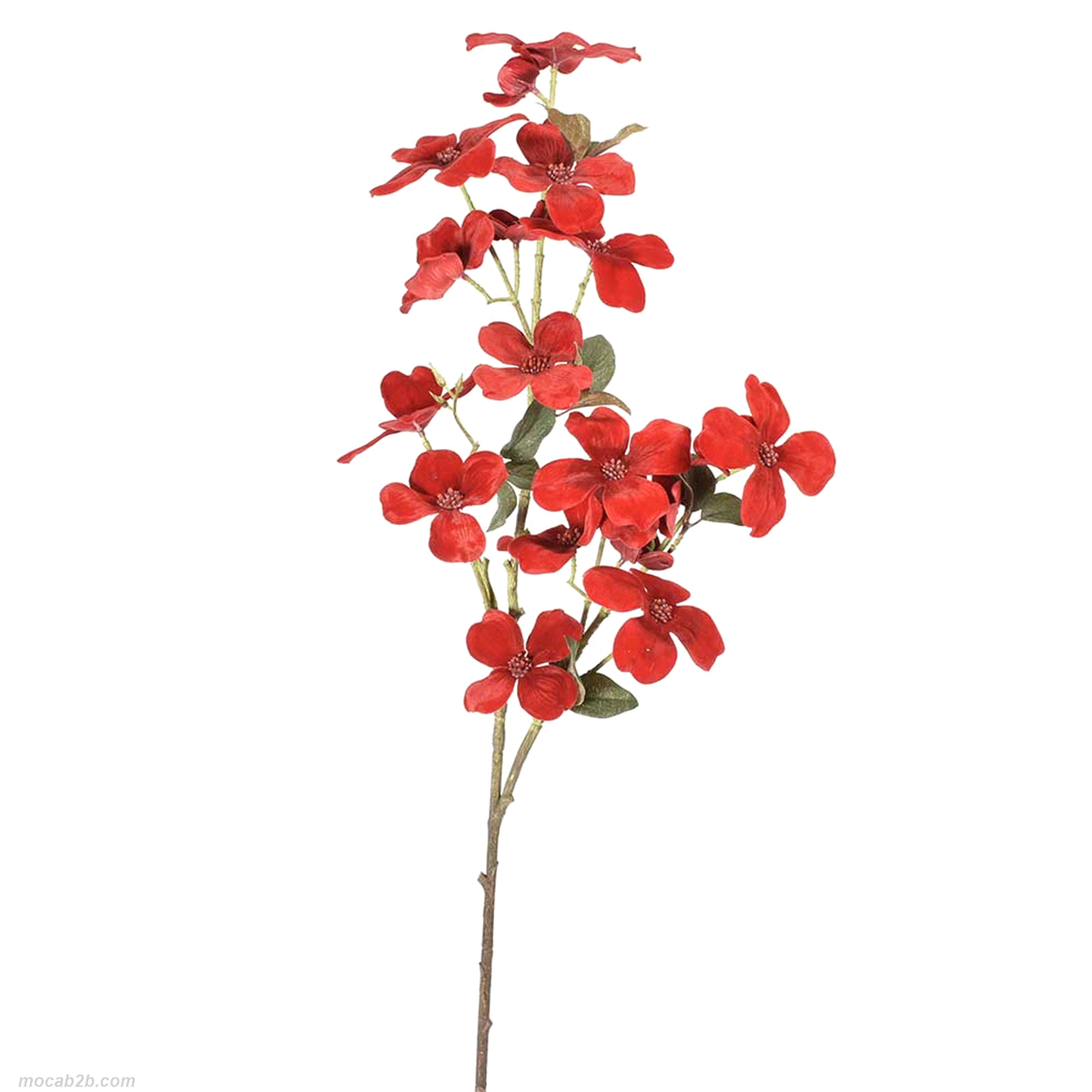 Descrizione articolo in fatturazione: CORNIOLO RAMO ROSSO VELL.91cm (12)  ... 