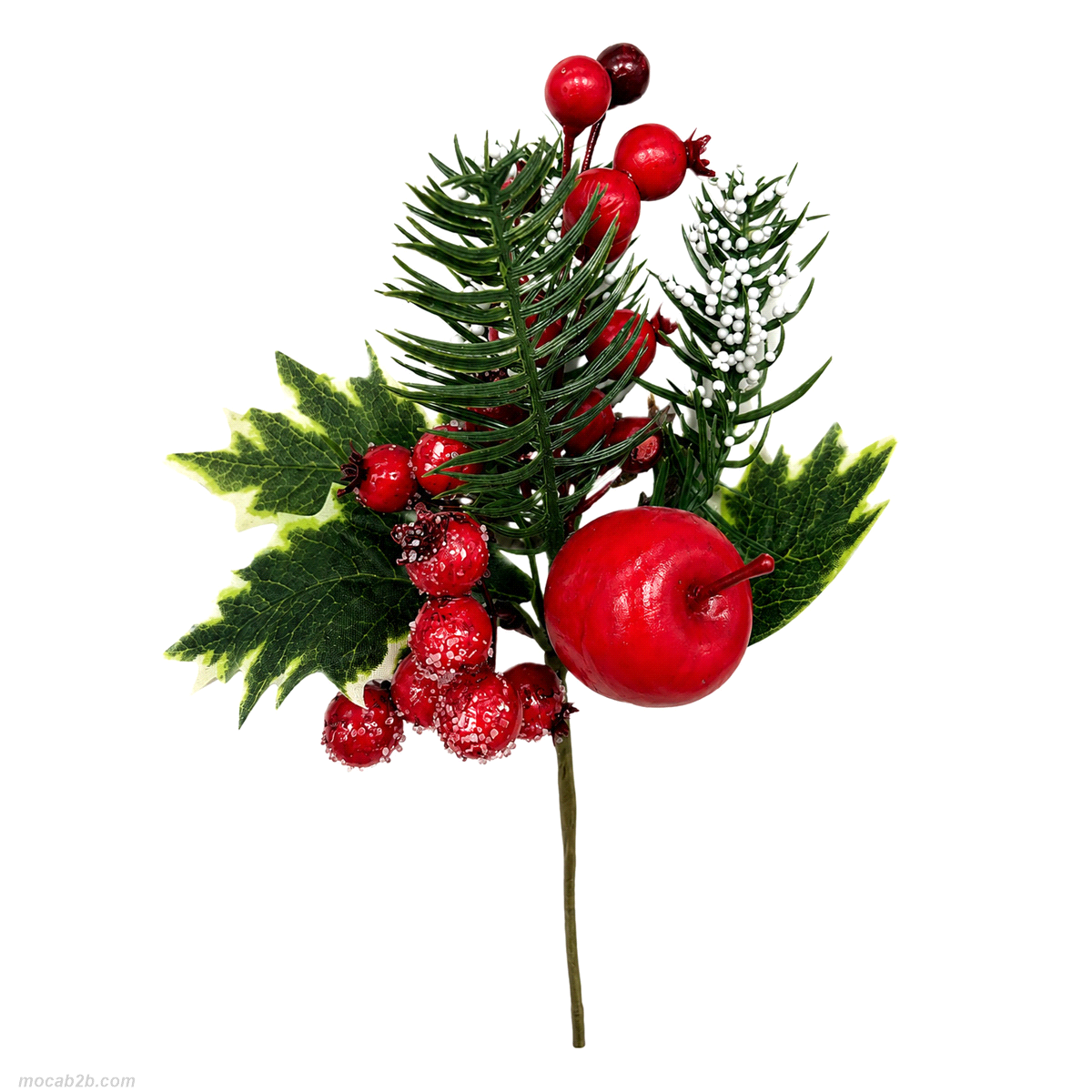 ILEX BACCHE PINO ROSSO 24cm x6pz(8) 